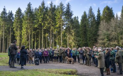 Grania Phillips DL attended the Tree Planting in Flashdown Woods in Egglesford Forest on Monday 9th December