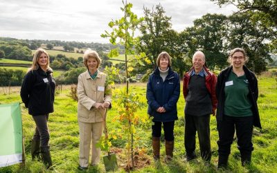 The Queen’s Green Canopy Tree Planting