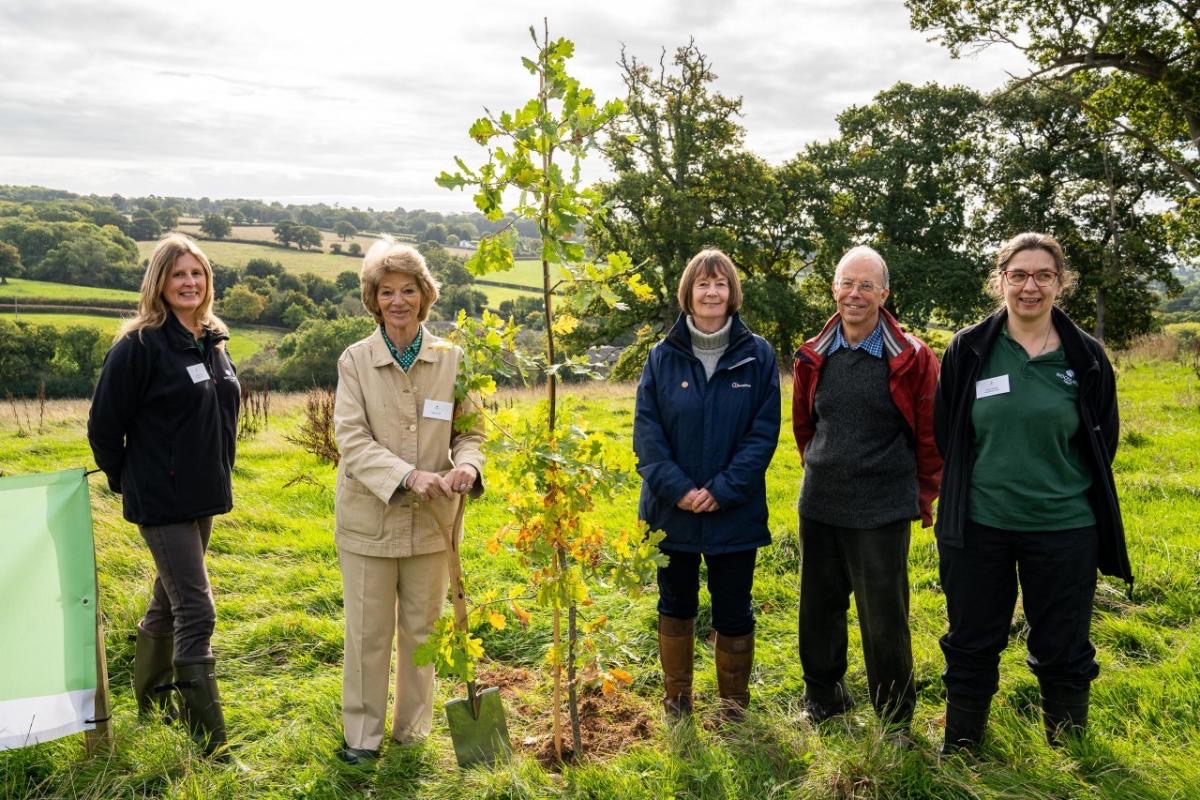 The QGC Tree Planting