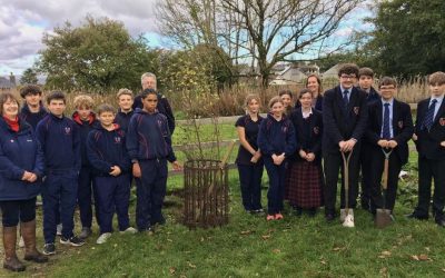 The Queen’s Green Canopy Tree Planting in Yelverton