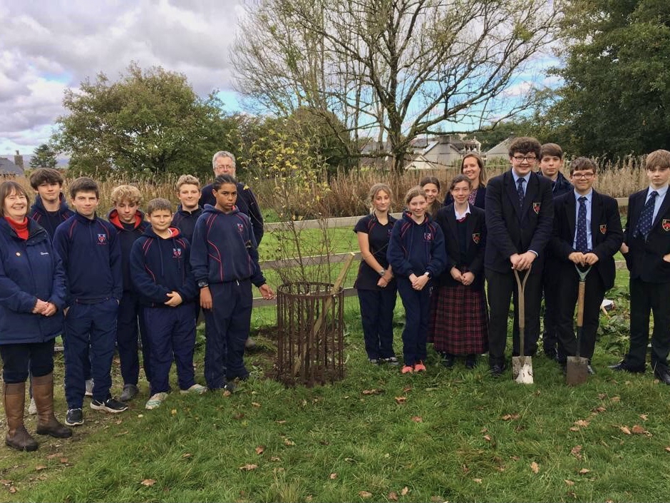 Yelverton Community Tree Planting