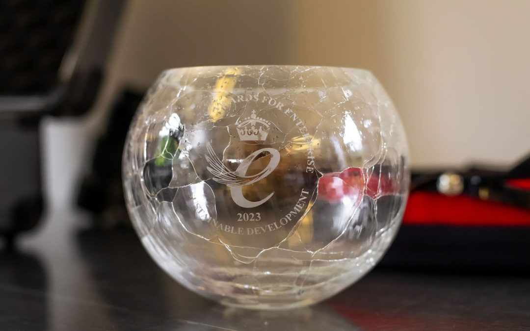 The King’s Award for Enterprise Winners Announced for Devon